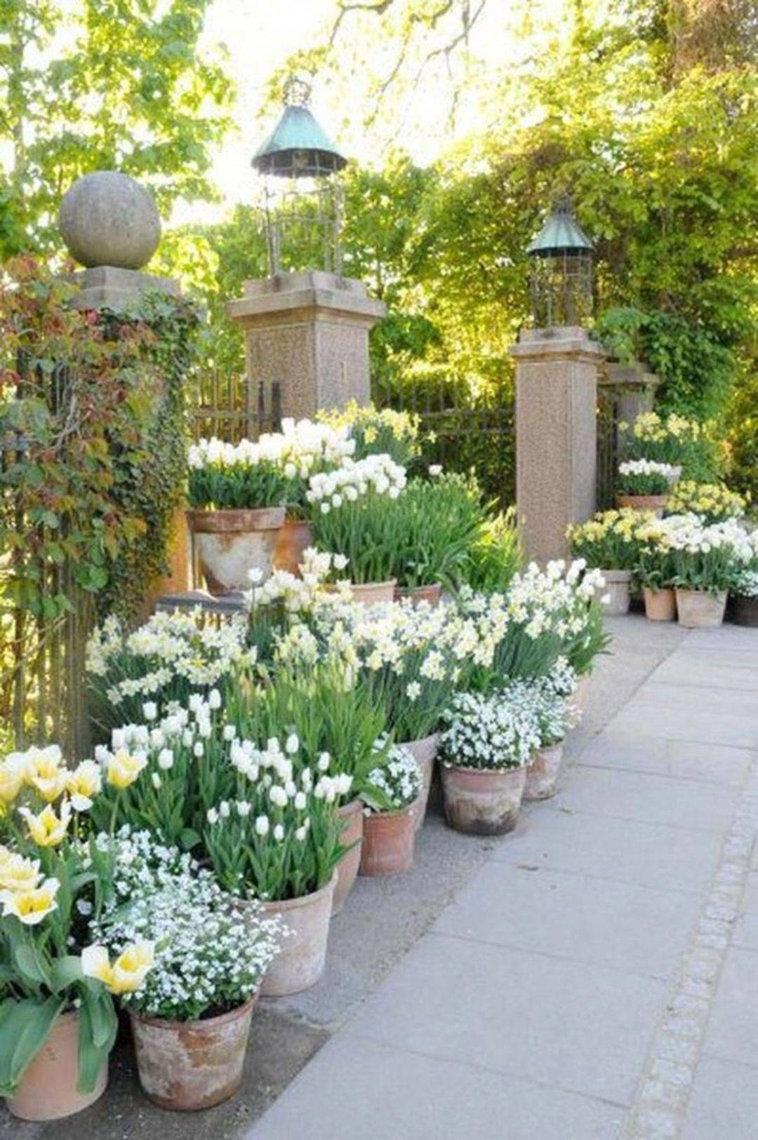 Garden Pots