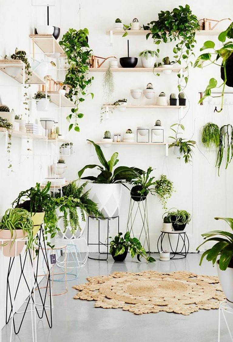 Most Creative Indoor Garden Ideas