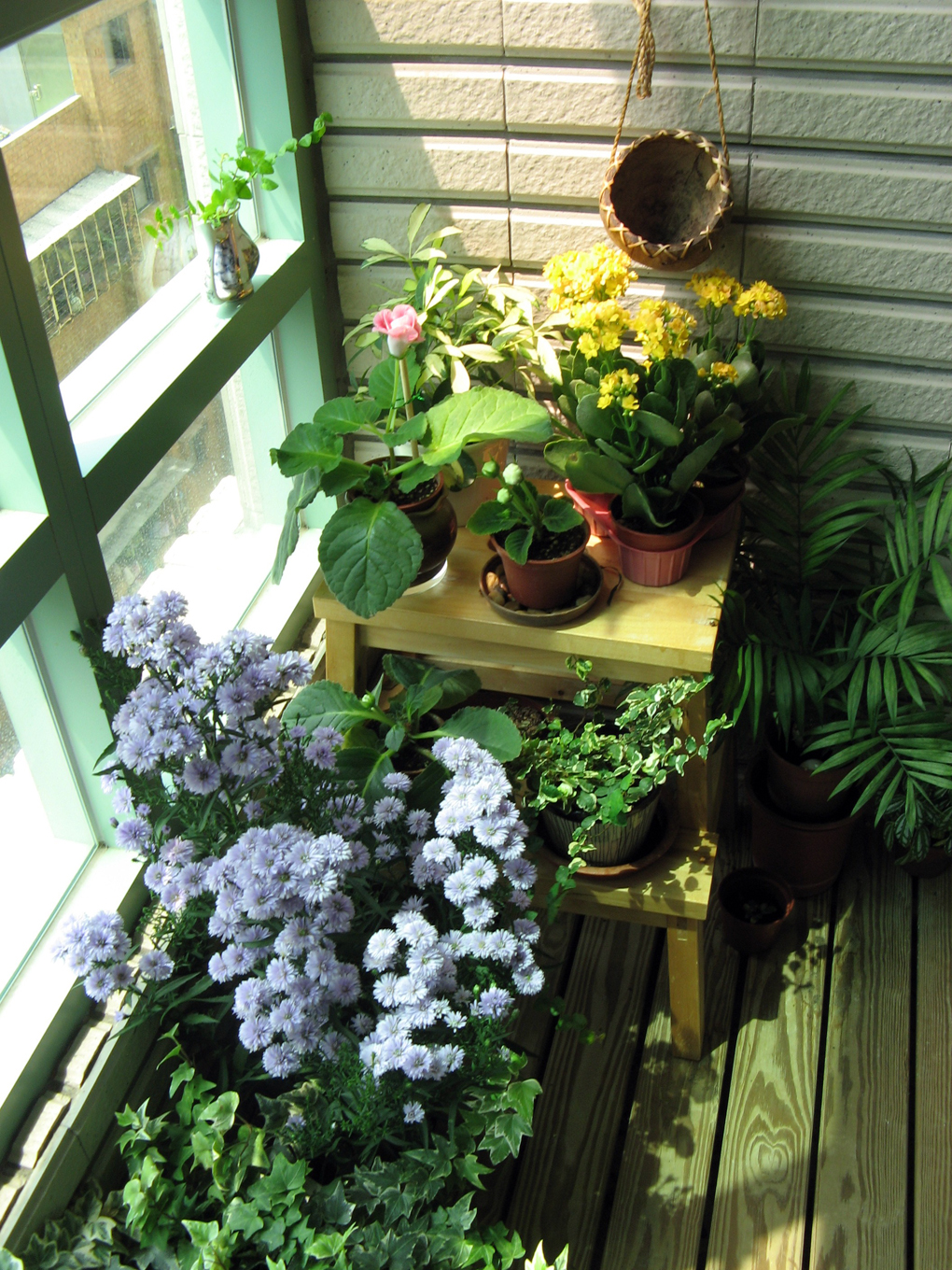 Beautiful And Small Indoor Gardens Decor Inspirator