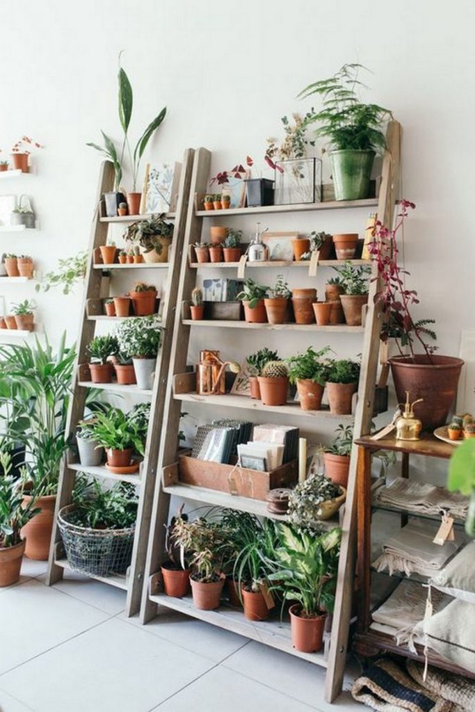 An Indoor Garden Room