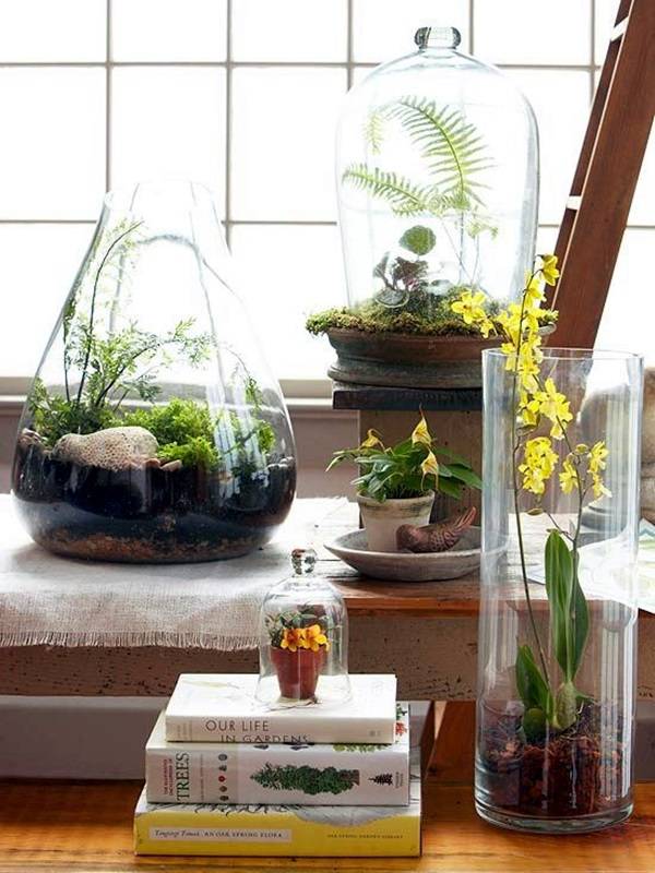 Smart Mini Indoor Garden Ideas