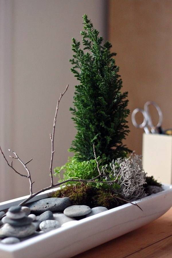 Smart Mini Indoor Garden Ideas