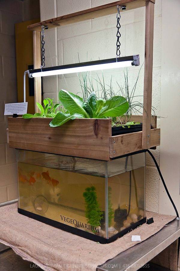 Smart Mini Indoor Garden Ideas