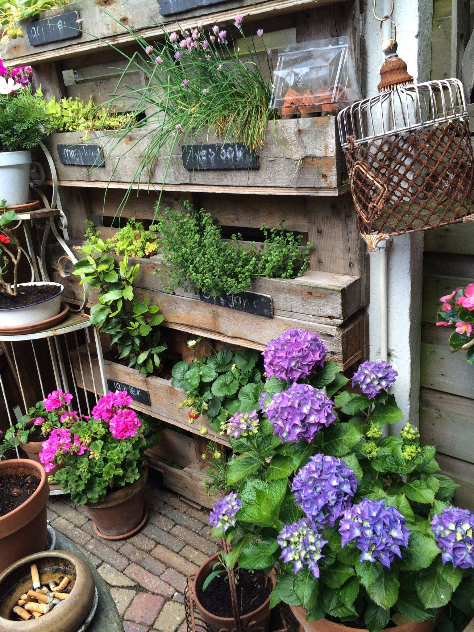 Best Diy Cottage Garden Ideas