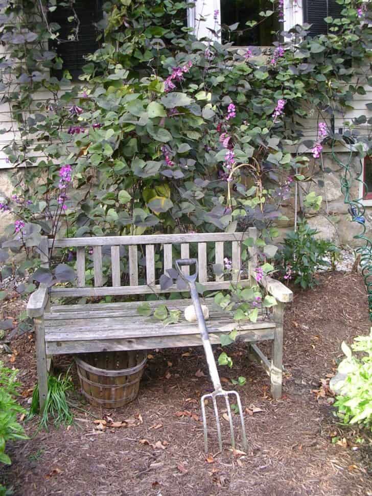 A Shabby Chic Garden
