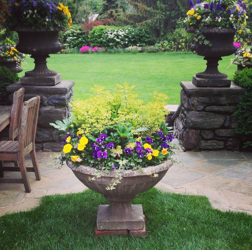 Beautiful Container Gardening Ideas Page