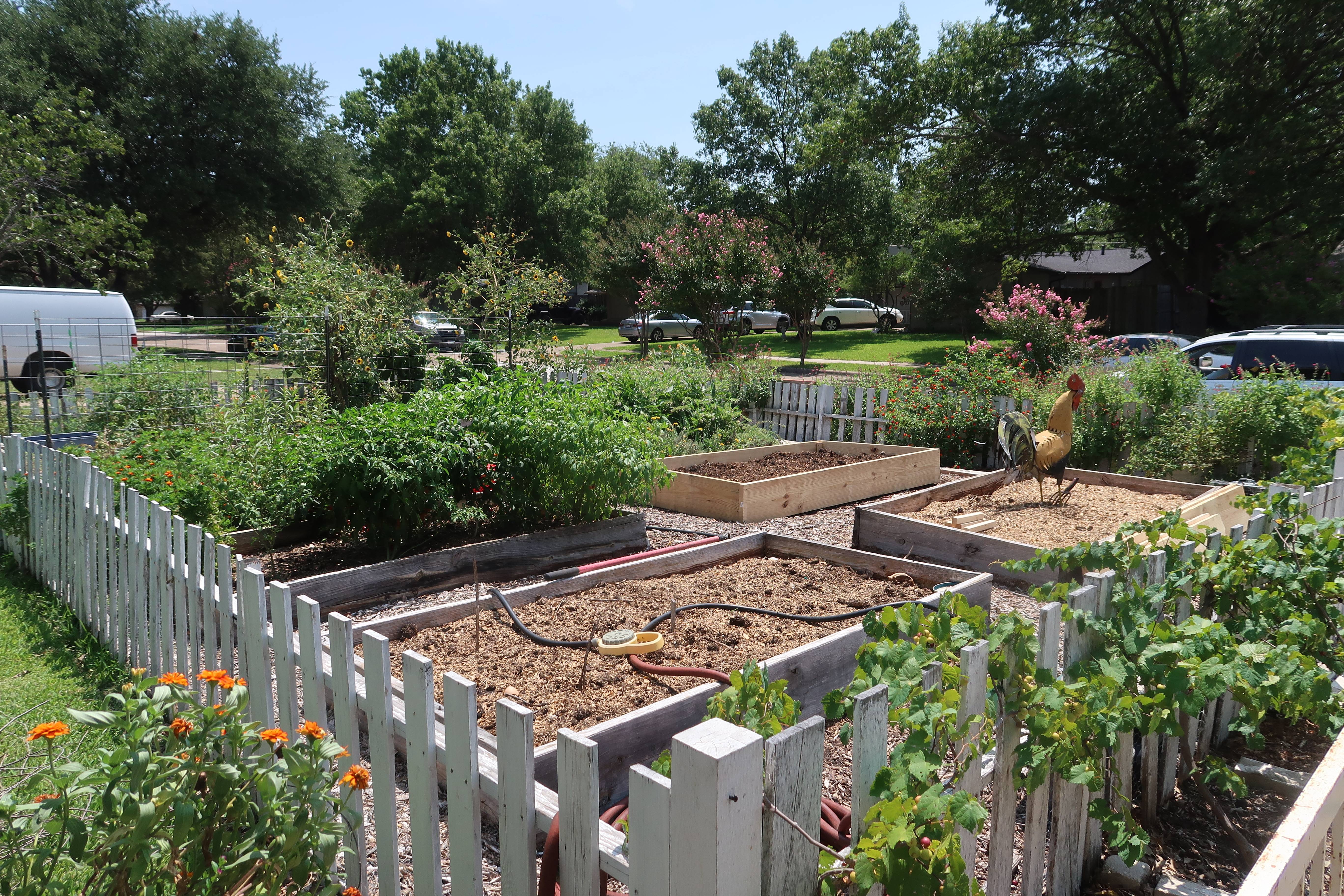 Backyard Raised Bed Garden Ideas