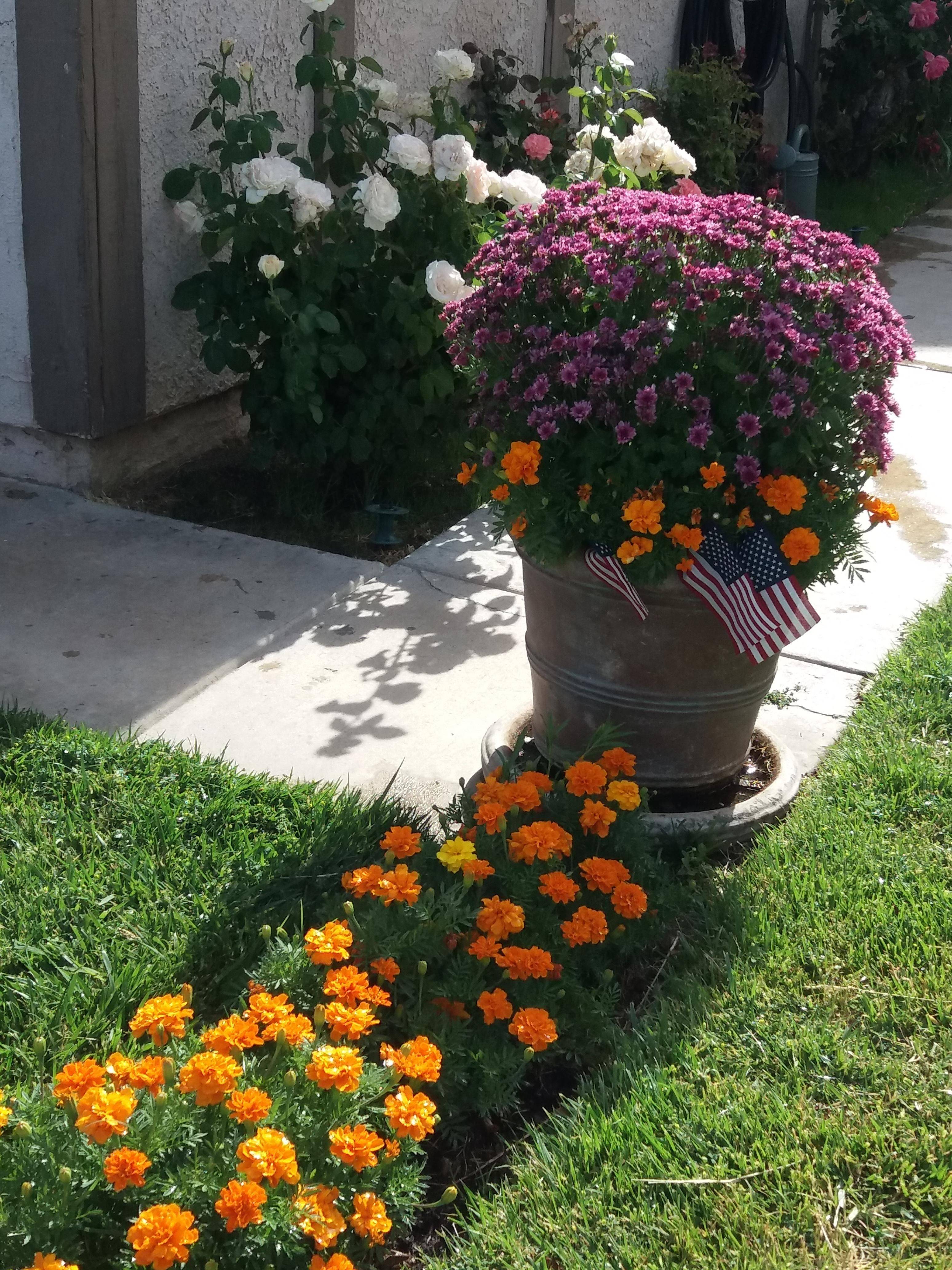 Stunning Small Flower Gardens