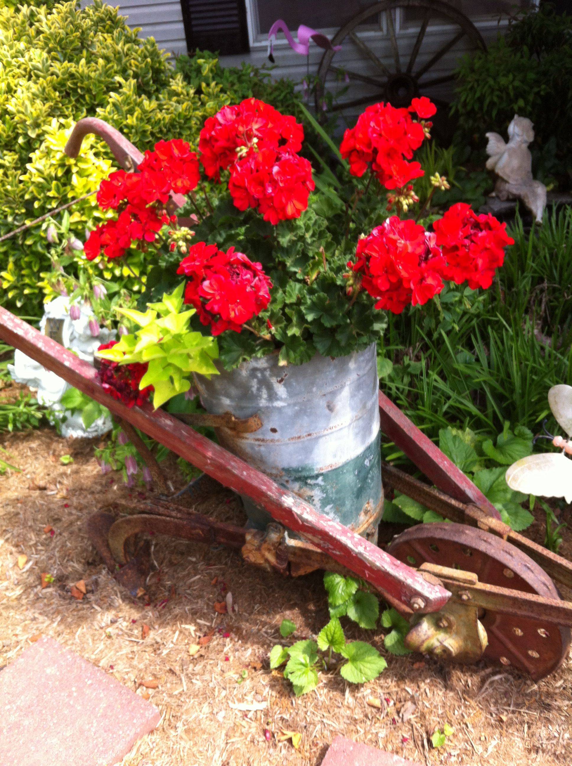 Antique Garden Cultivator