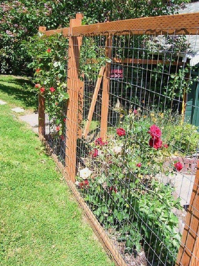 Easy Creative Privacy Fence Design Ideas