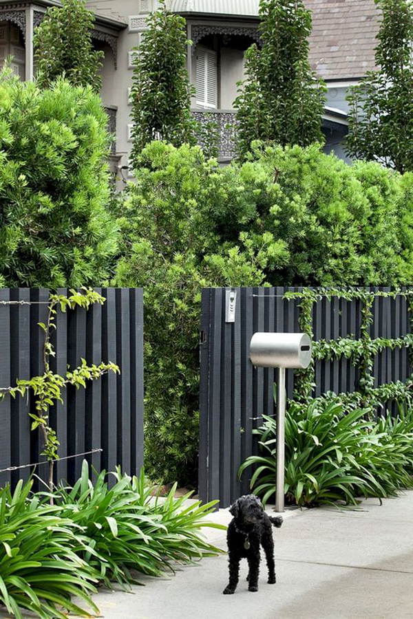 Unique Garden Fence Decoration Ideas Home
