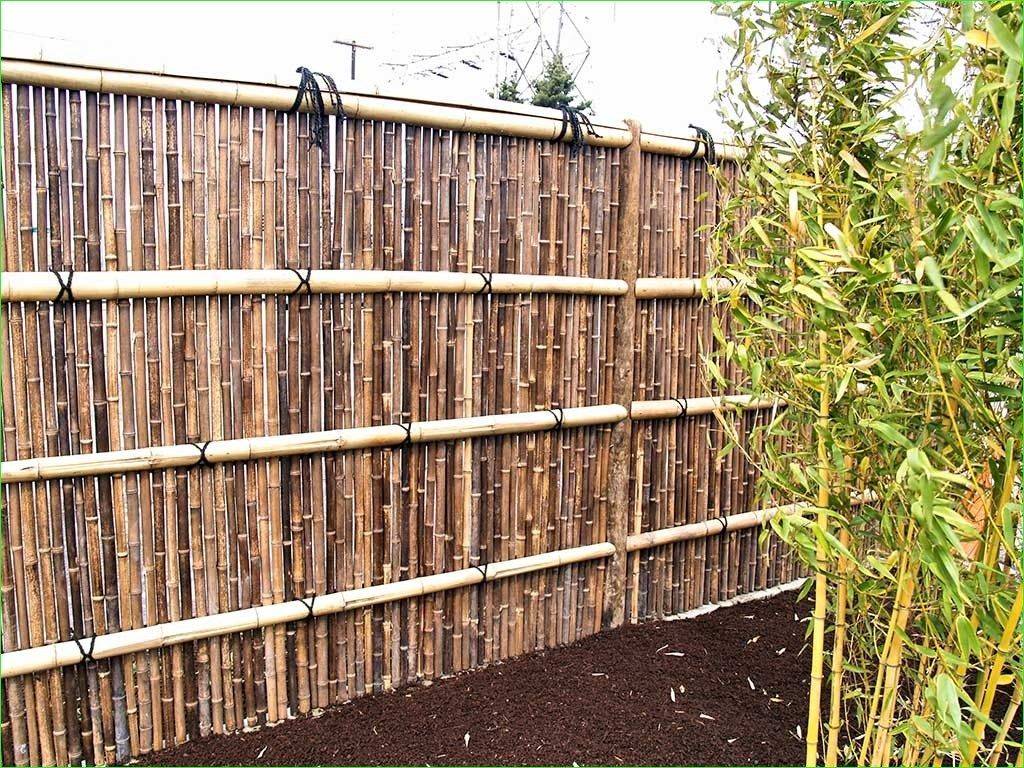 Amazing Ecofriendly Fencing Options Bamboo Fence