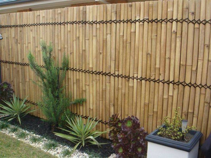 Bamboo Fencing Ideas