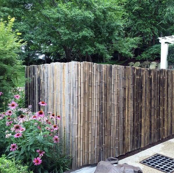 19 Bamboo Garden Fence Ideas You Cannot Miss SharonSable