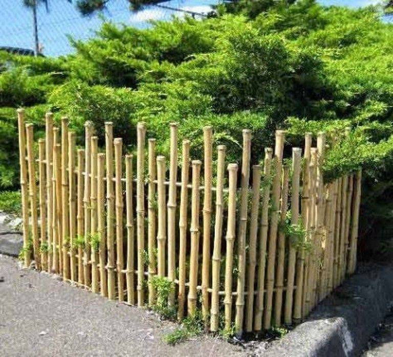 Garden Bamboo Fence Ideas Https Encrypted