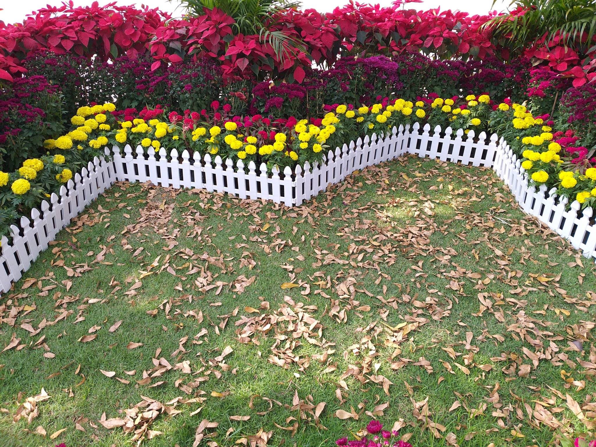 Garden Fencing Able Greenscapes