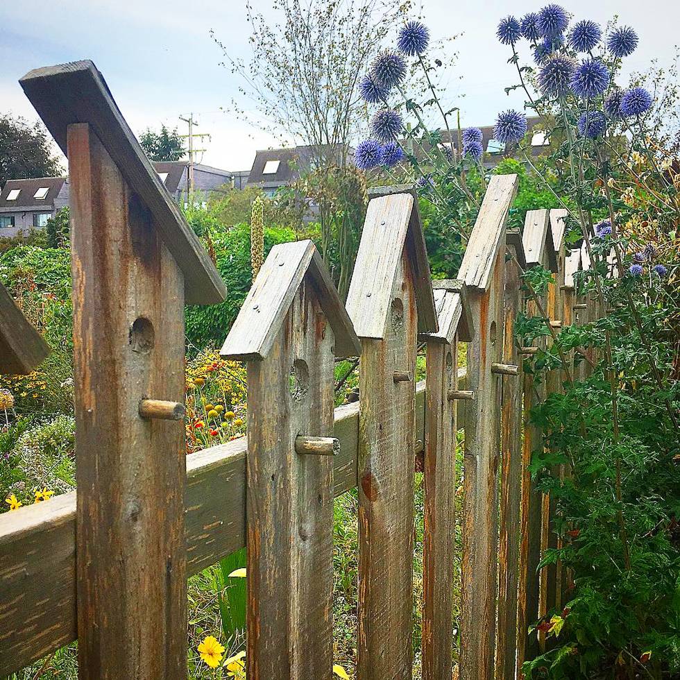 Unique Garden Fence Ideas