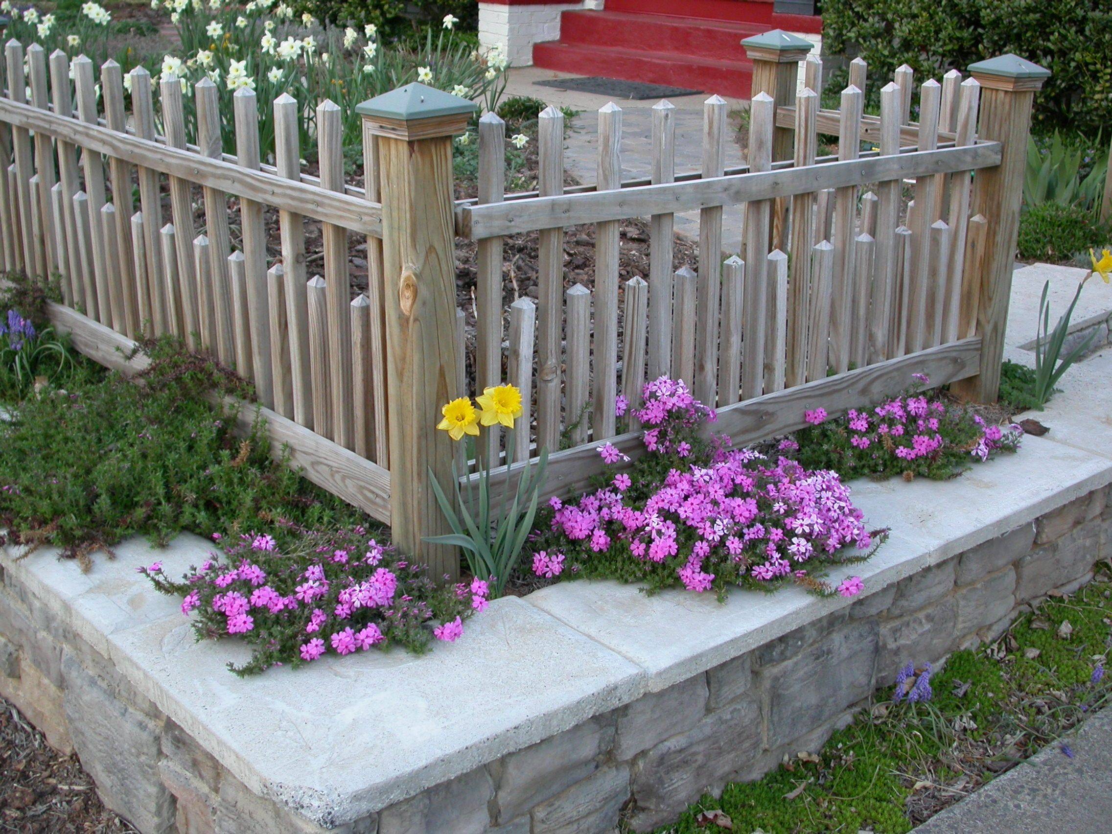 Low Maintenance Front Yard Landscaping Ideas
