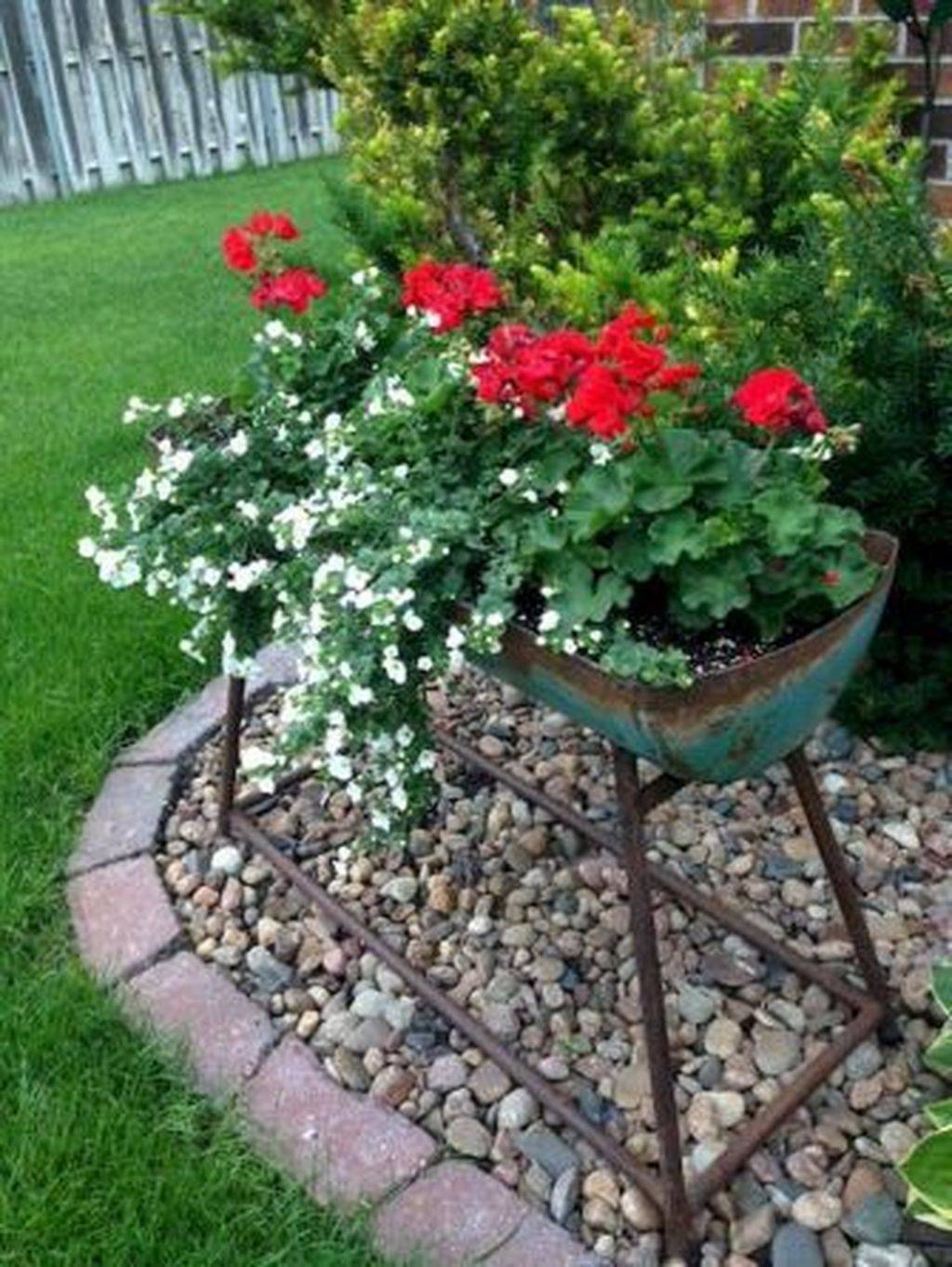 Unique Container Gardening Ideas