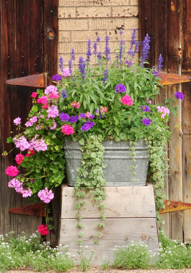 Vintage Container Planter Ideas