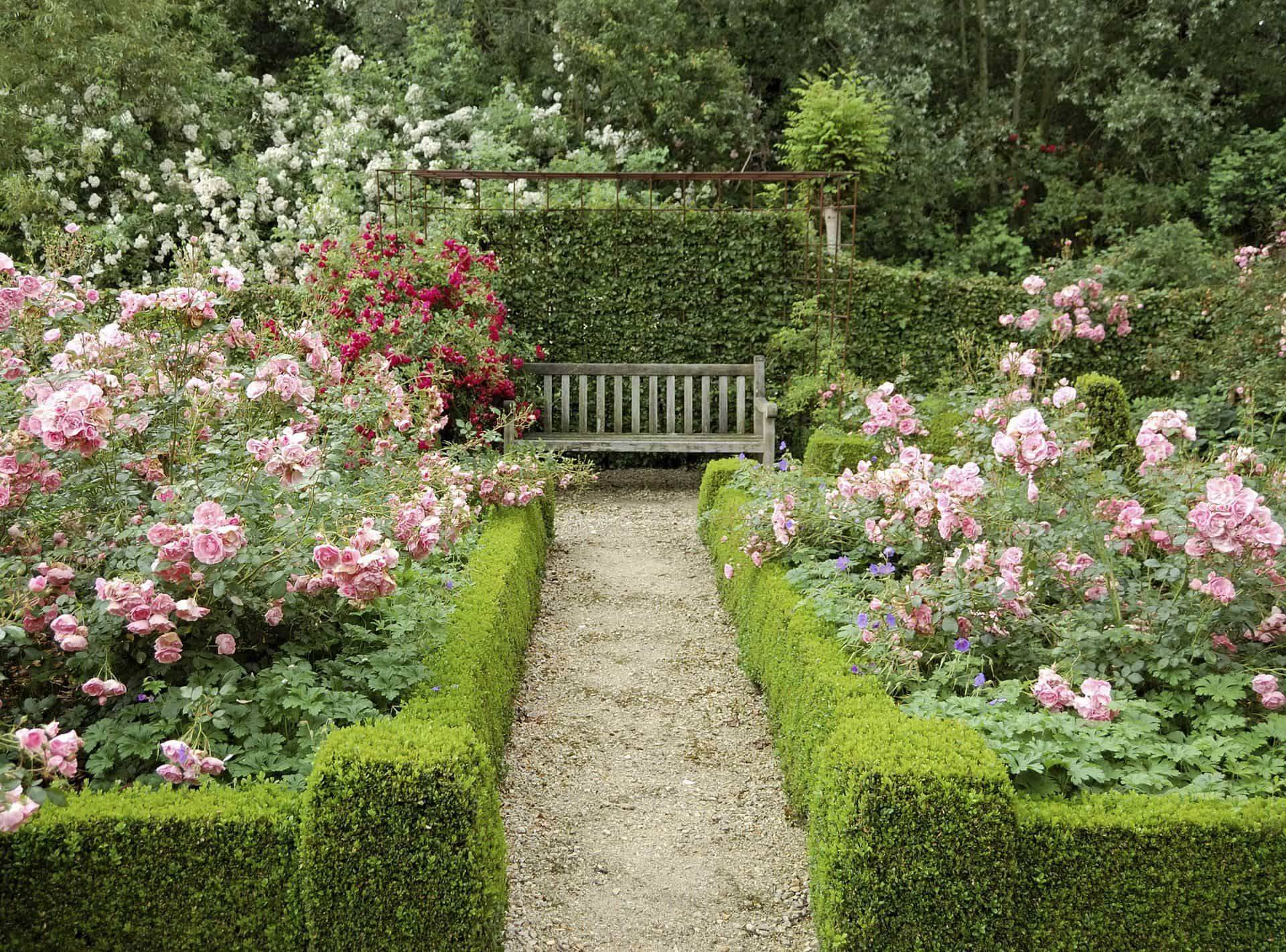 Amazing Backyard Rose Garden Ideas