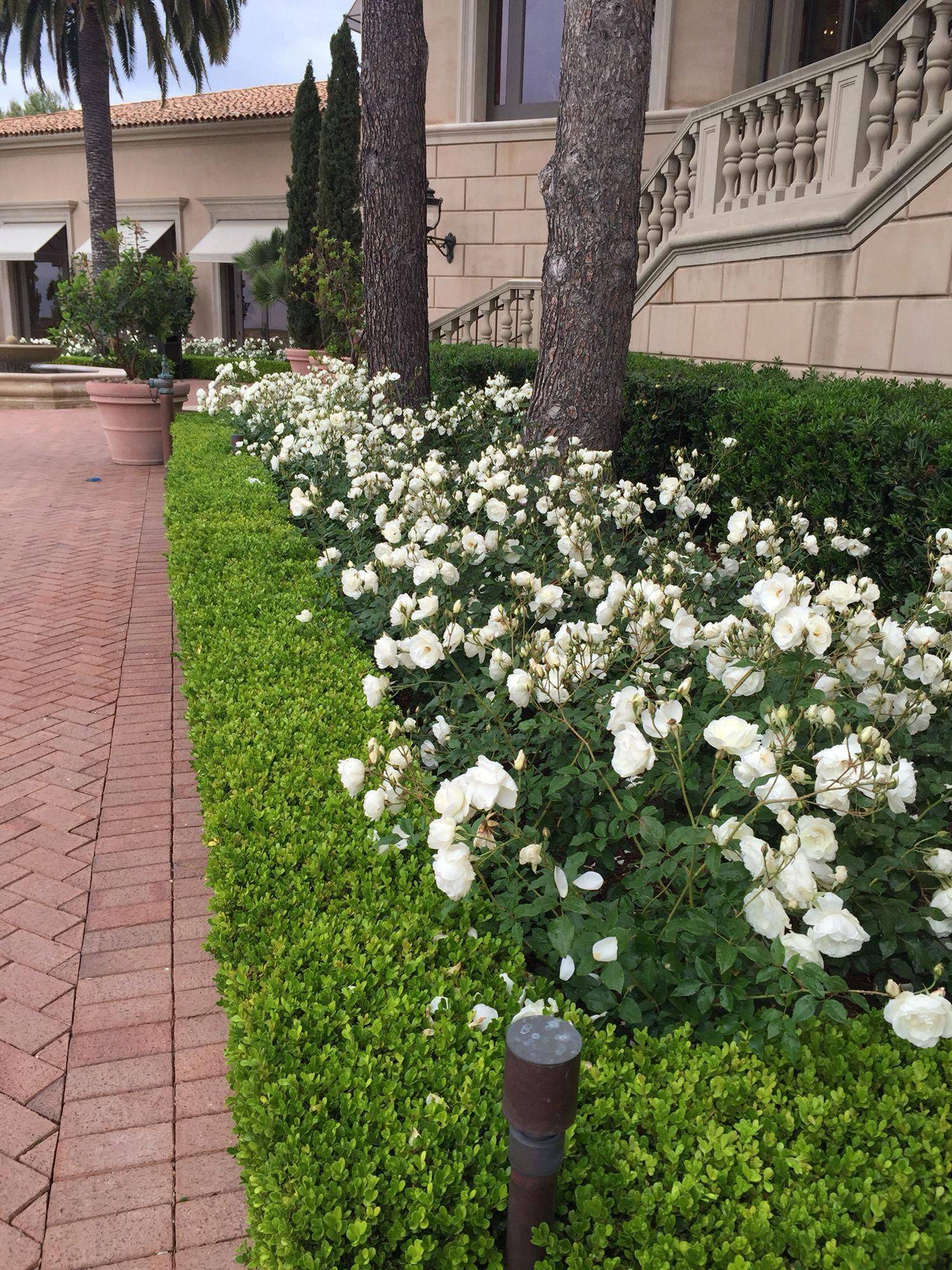 Carolyne Roehm Rose Garden Design