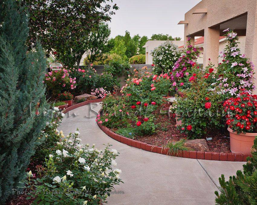 House Beautiful Rose Garden Landscape