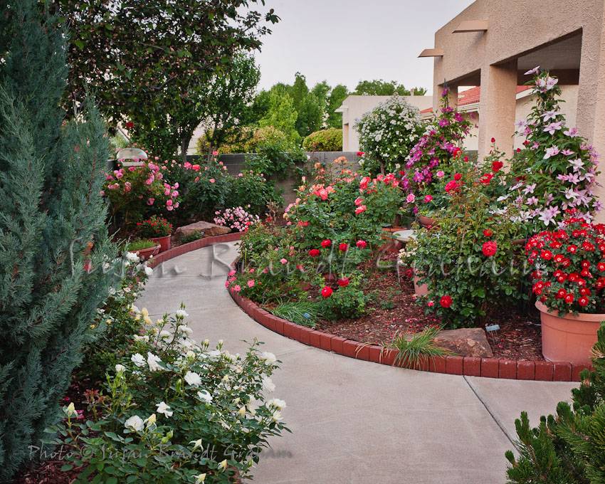 Small Rose Garden Design Ideas