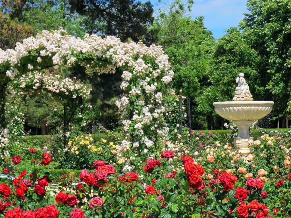 Gorgeous Rose Garden Ideas Photo Inspiration Garden Tabs