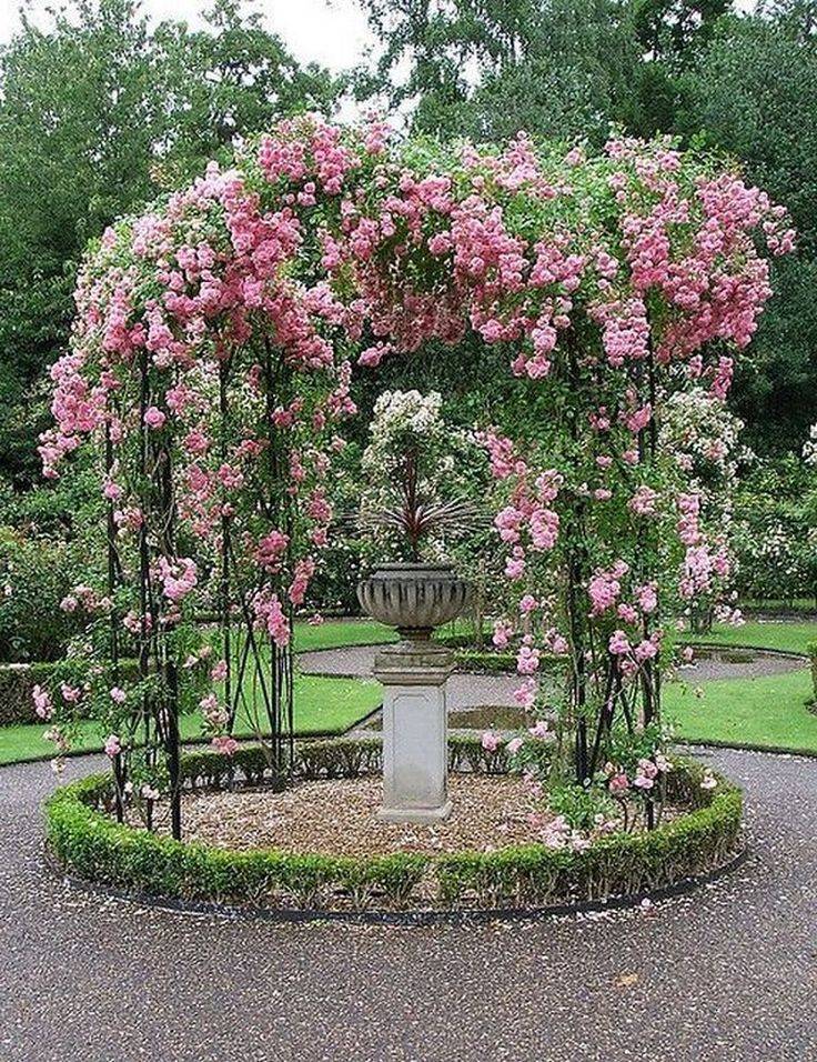 Amazing Backyard Rose Garden Ideas