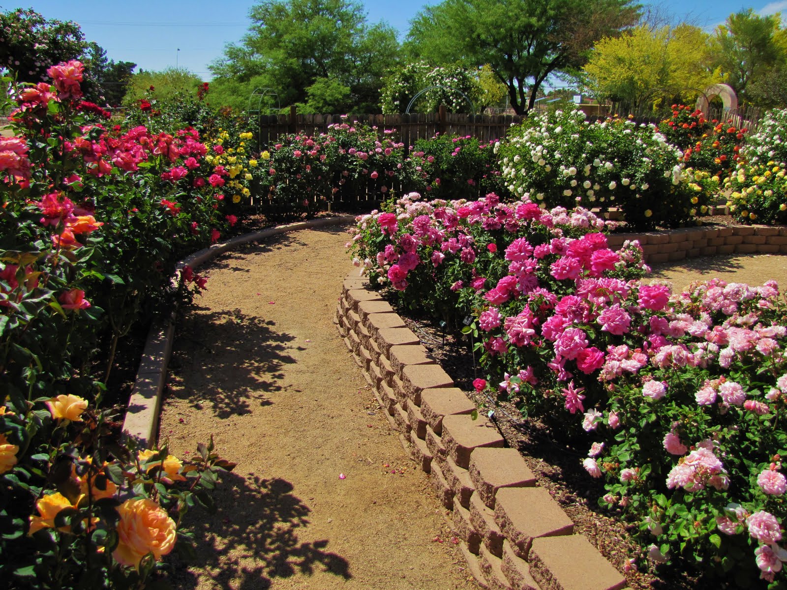 Outstanding Rose Garden Design Ideas