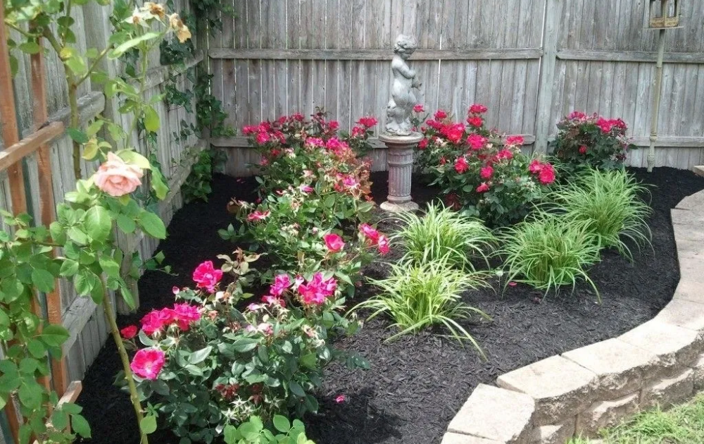 Amazing Backyard Rose Garden Ideas