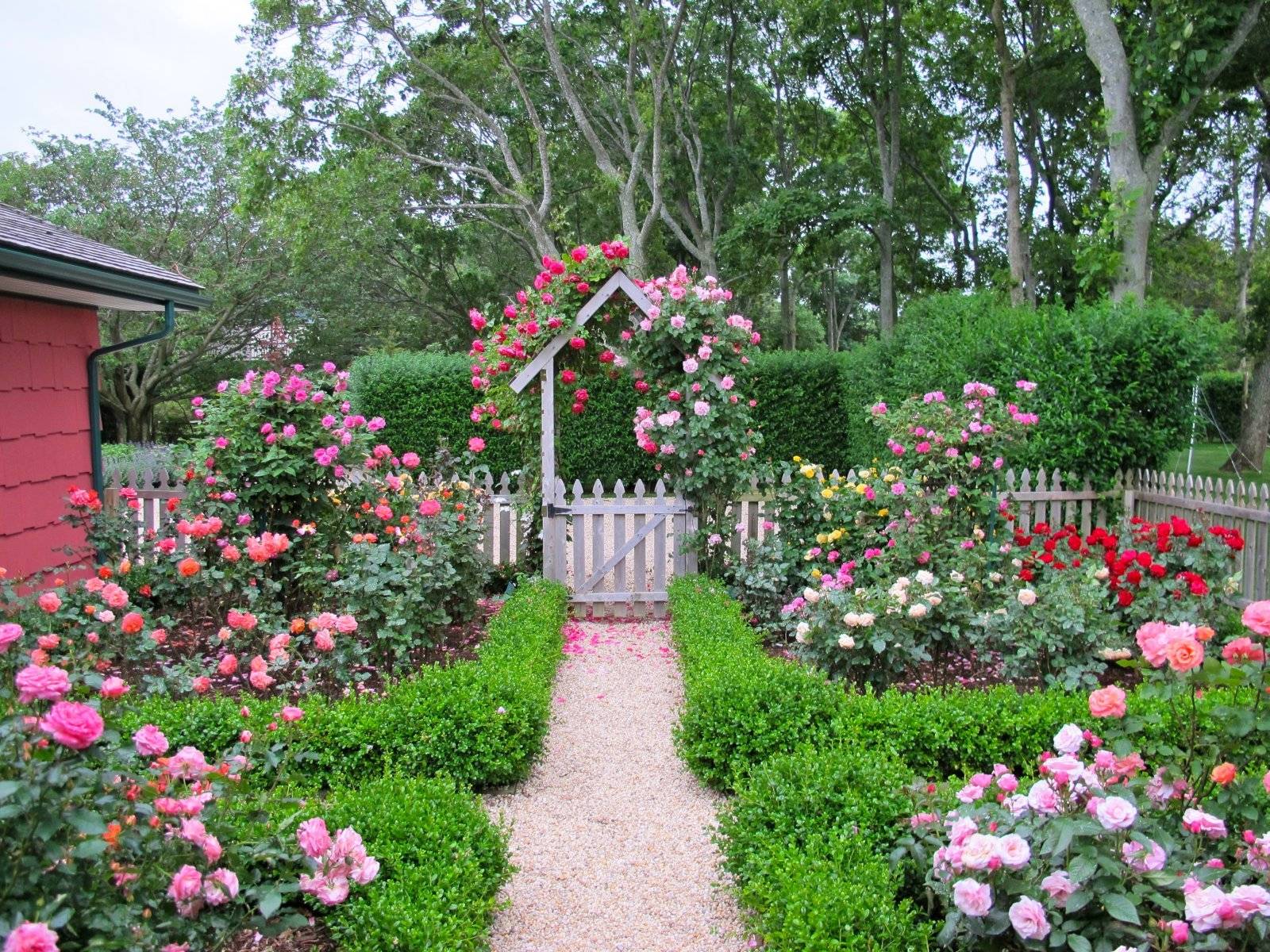 Beautiful Rose Garden Design
