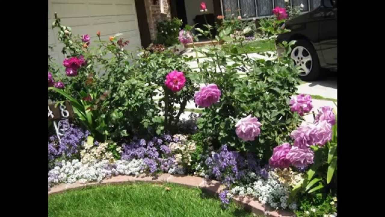 Beautiful Rose Garden Design