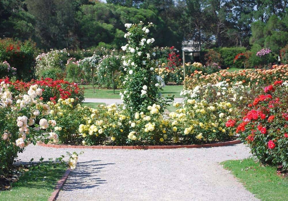 Awesome Rose Garden Design Layout Flower Beds Romantic Roses