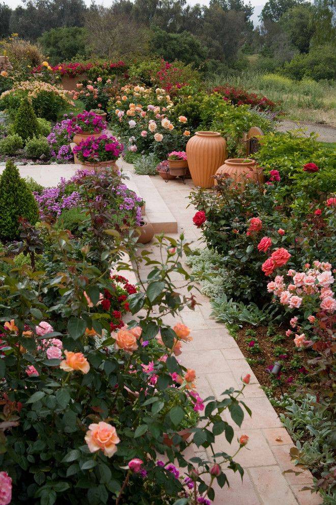 House Beautiful Rose Garden Landscape