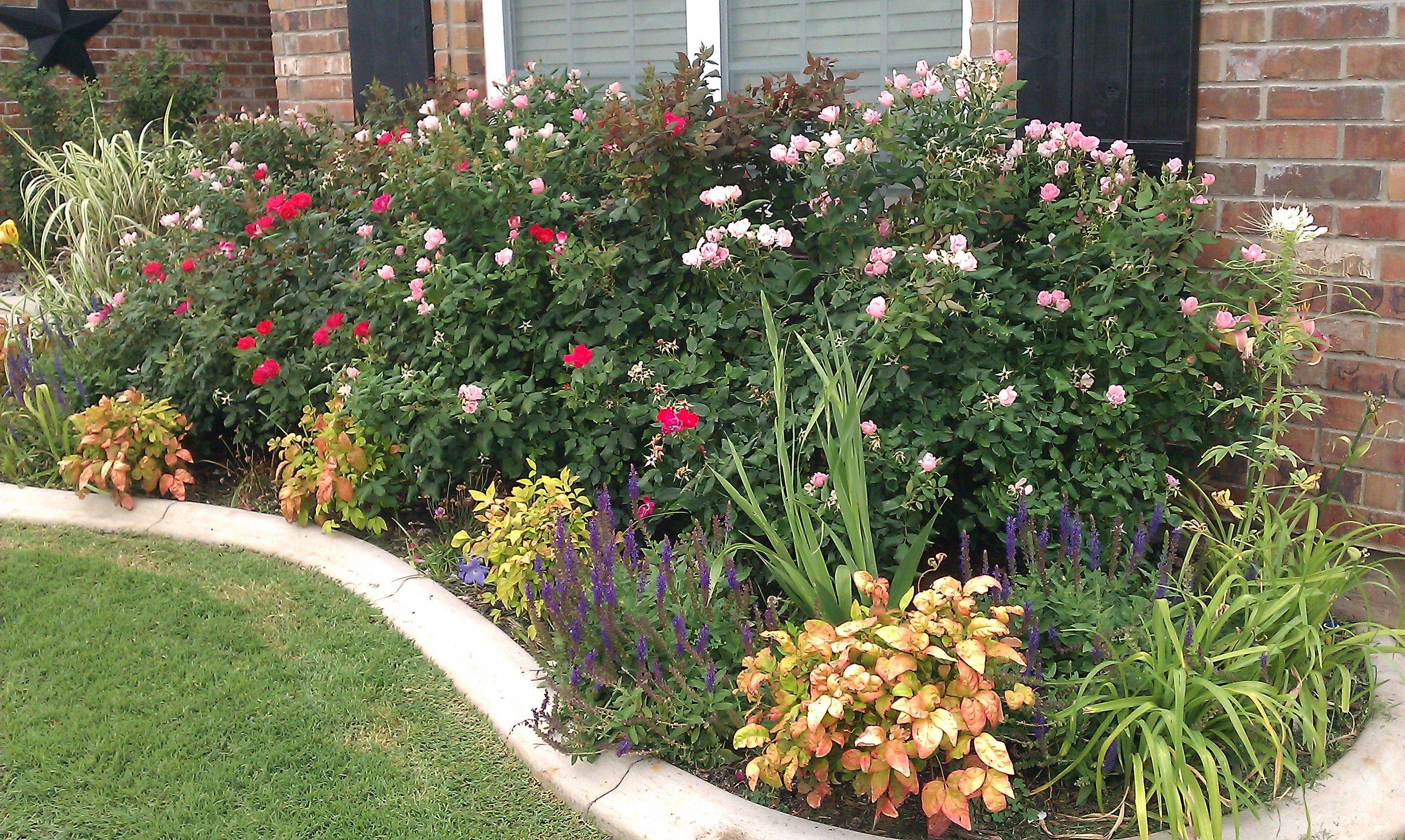 Rose Garden Decorating Ideas For Good Looking Landscape Traditional