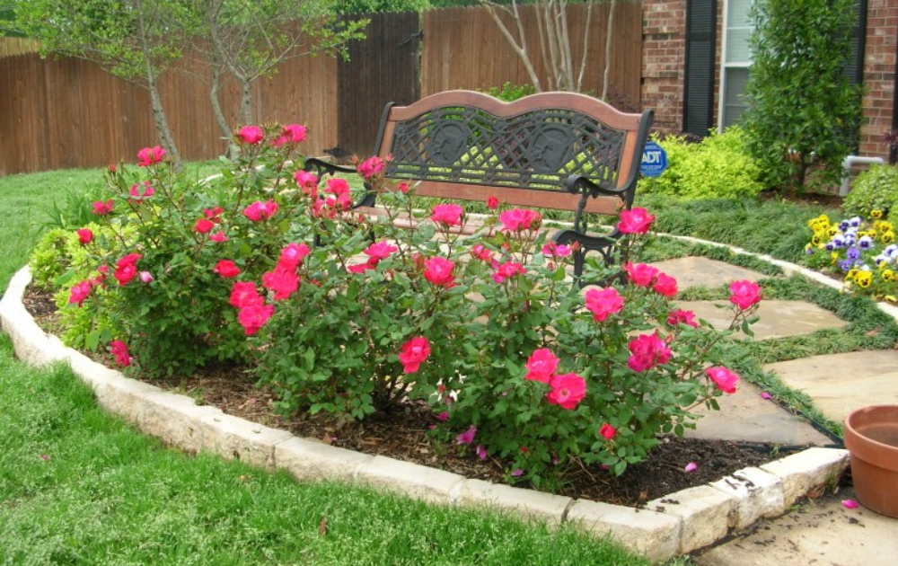 Beautyful And Creative Flower Bed Ideas