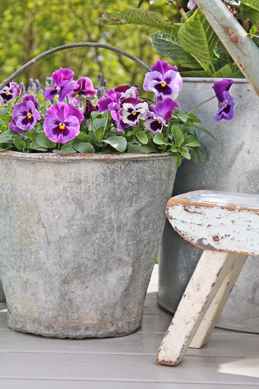 Best Shabby Chic Style Images