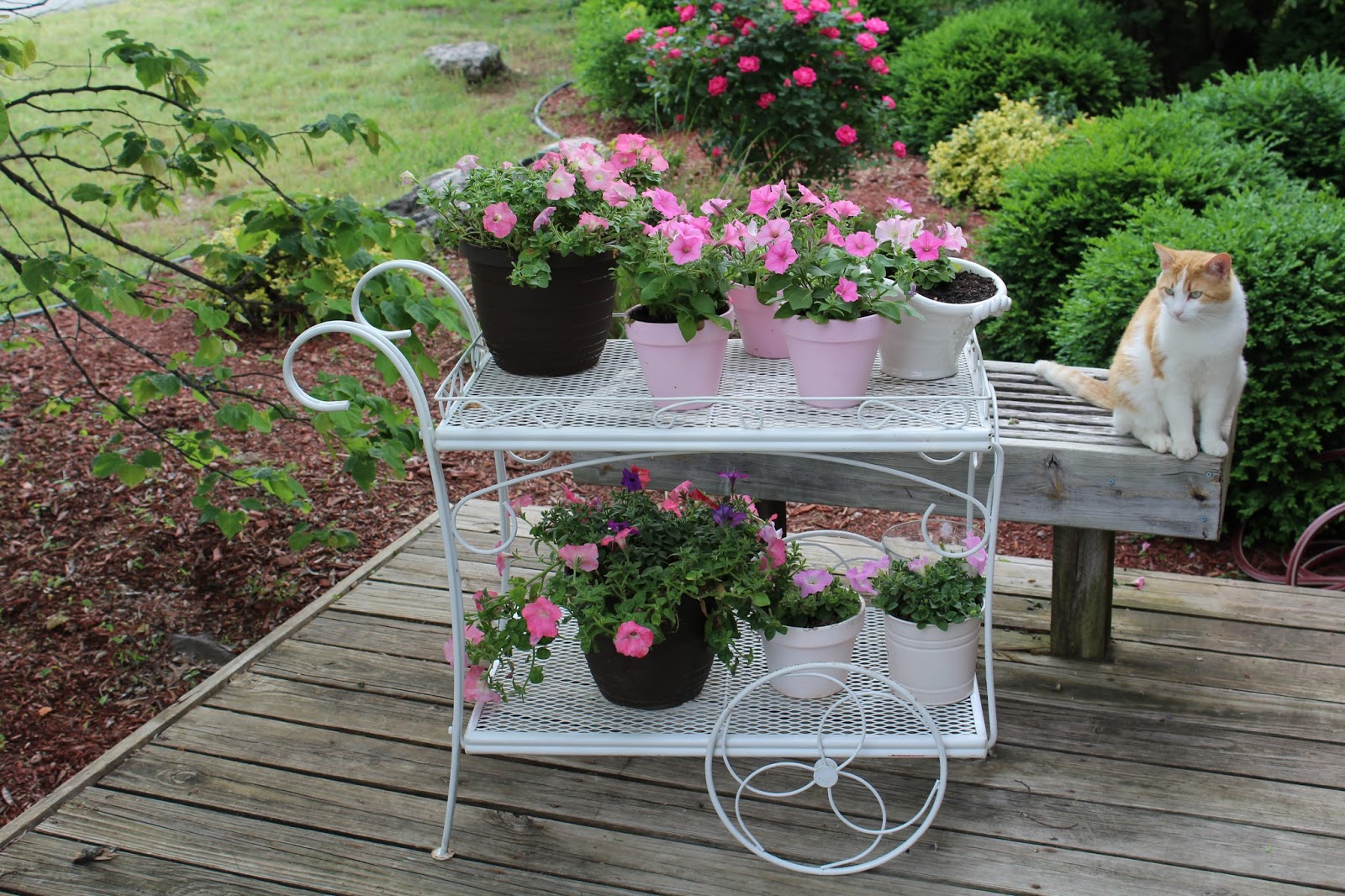 Gorgeous Shabby Chic Garden Decor Ideas