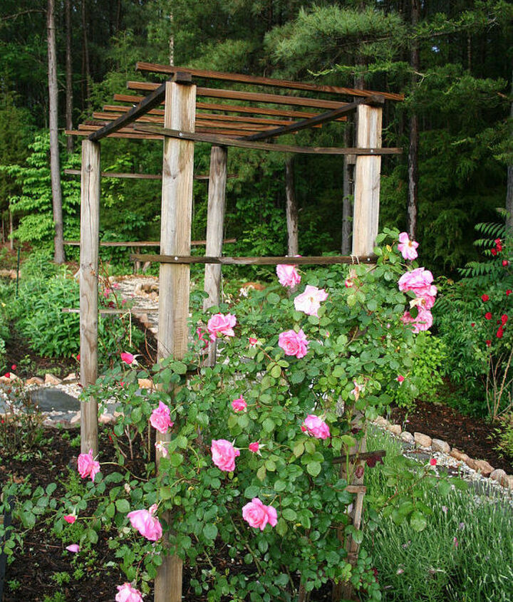 Outdoor Landscape Garden Arches