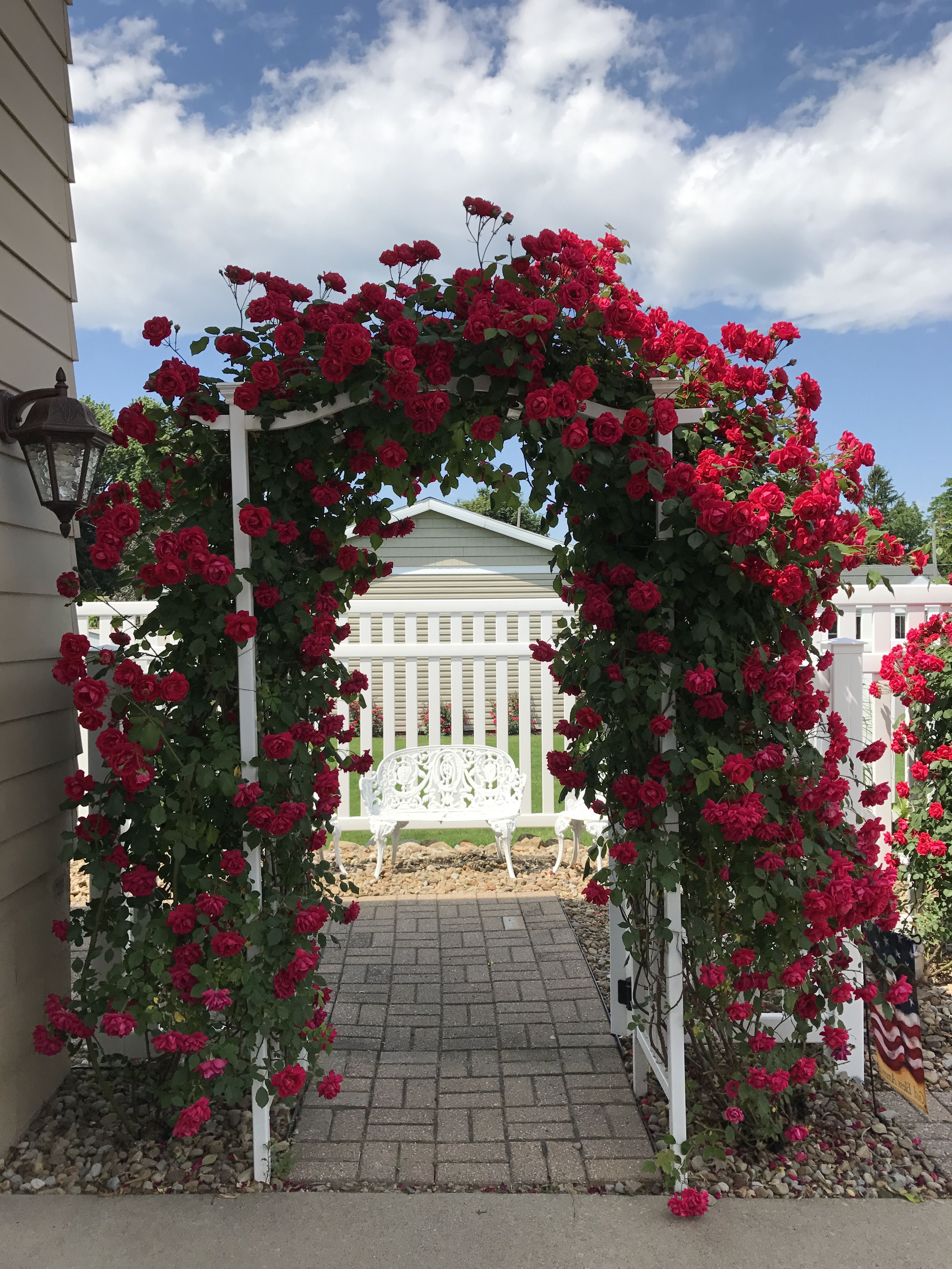 Gardens Climbing Roses Trellis