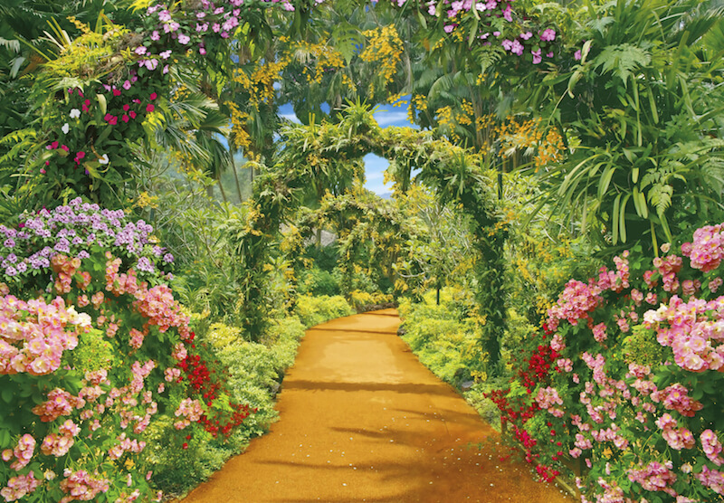 Flower Trellis Gardenerscom