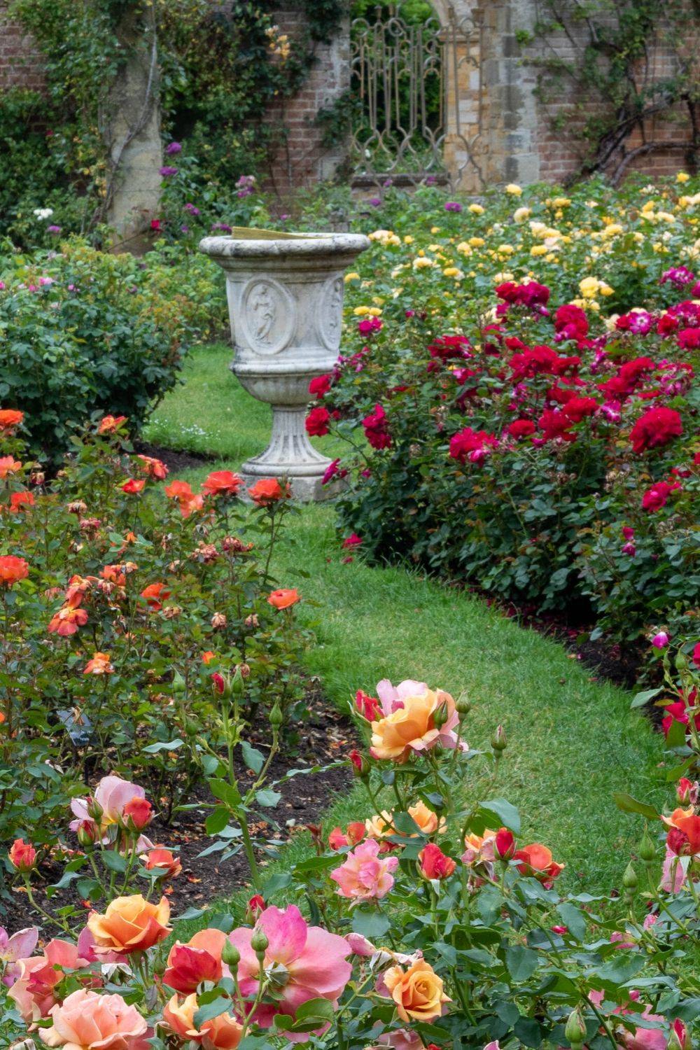 House Beautiful Rose Garden Landscape