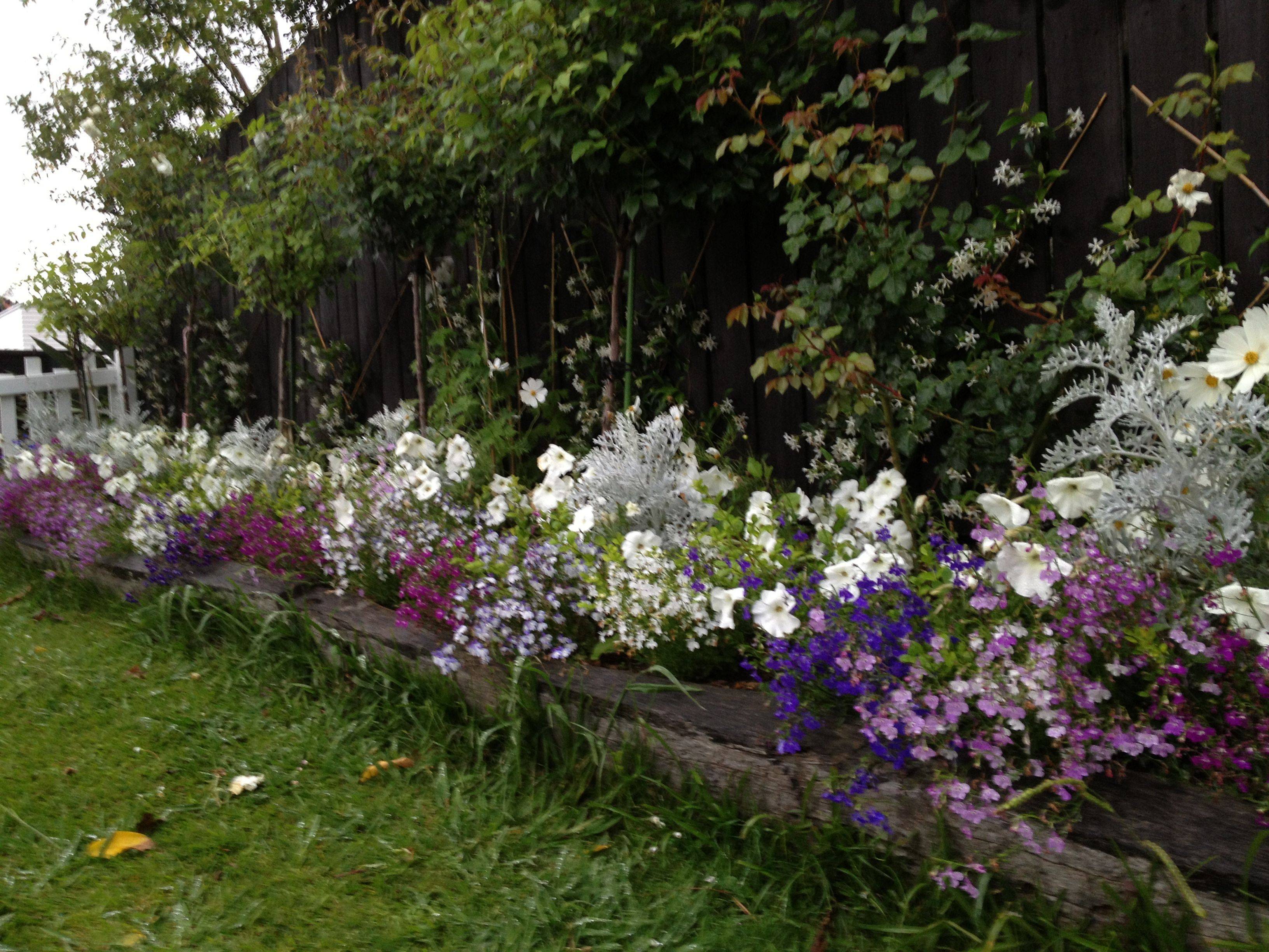 Rainbow Rose Garden Hgtv