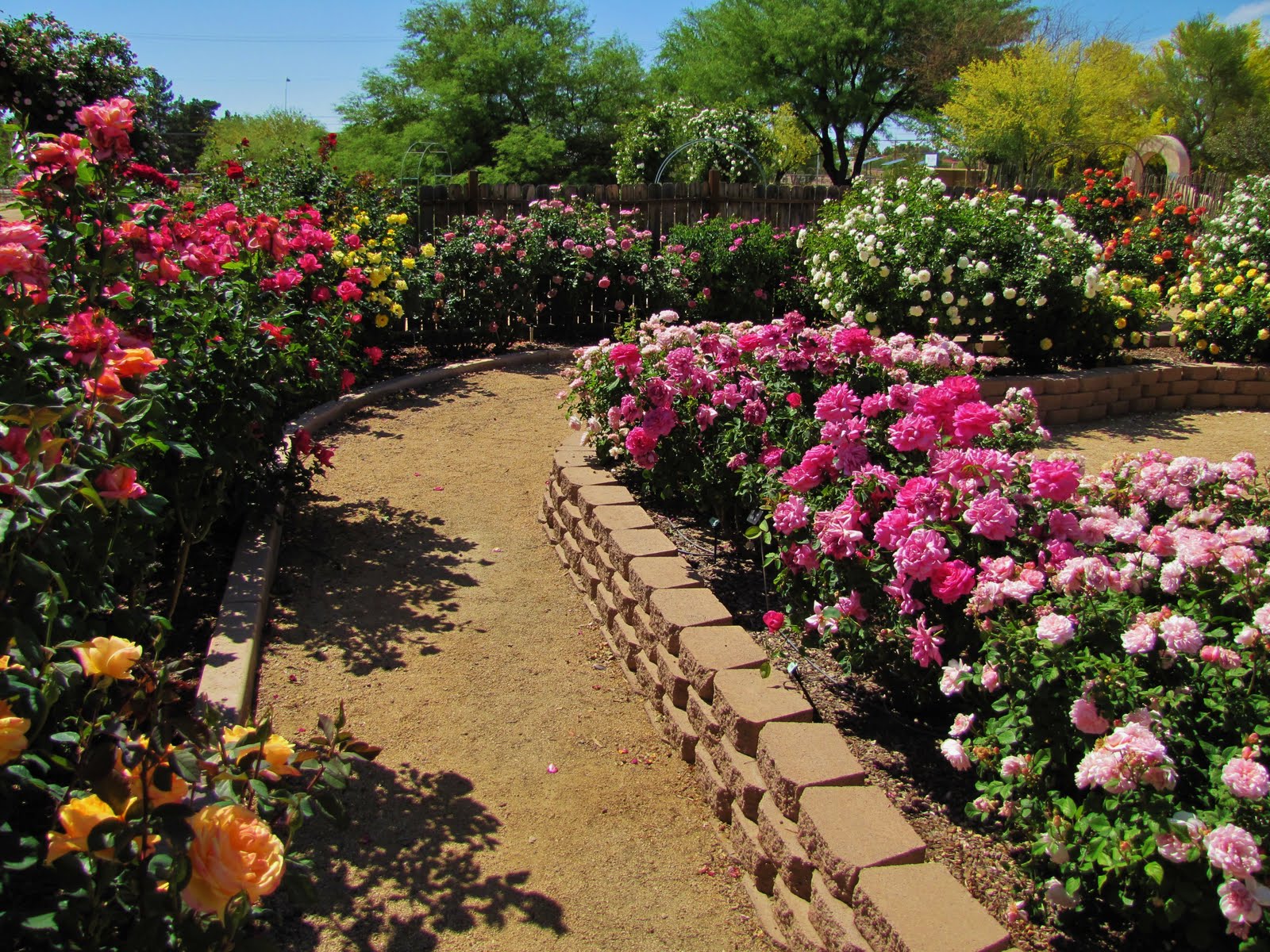 Garden Decorating Ideas Photograph Rose Garden Ideas
