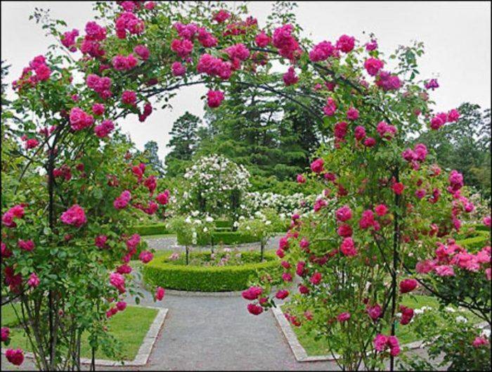 Beatiful Rose Garden Ideas Design Bookmark