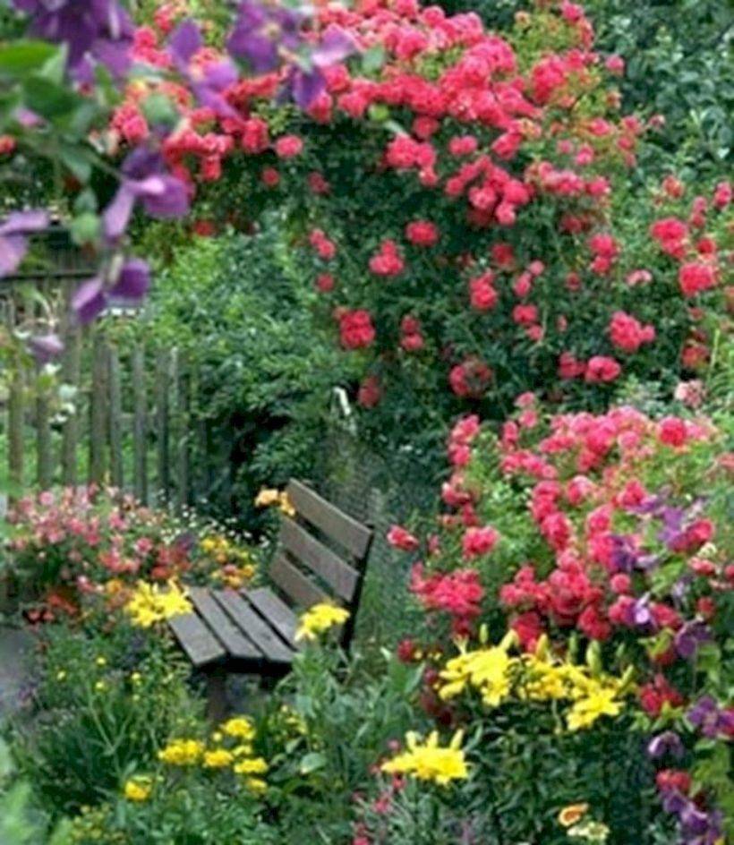 House Beautiful Rose Garden Landscape
