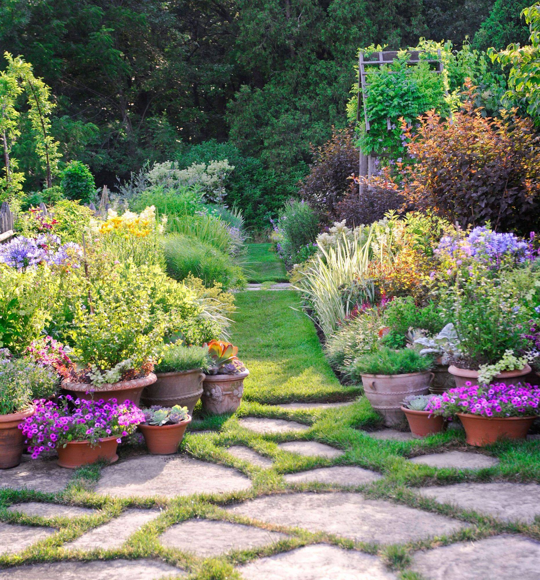 Amazing Backyard Rose Garden Ideas