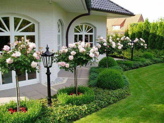 Gorgeous And Simple Rose Garden Ideas